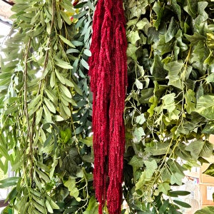 프리저브드 줄맨드라미 와인레드 5줄 드라이플라워 웨딩 브라이덜샤워 부케소재 크리스마스 장식재료 홈데코 소품