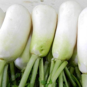 알타리절임 국내산 김장 깍두기 총각김치 절인 알타리무 18kg, 1개