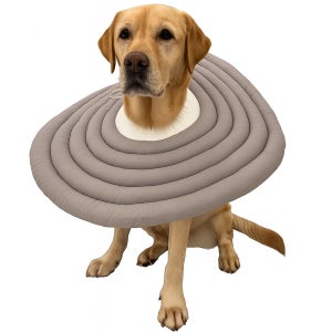 MAAH 대형견 경량 넥카라 중형견 중성화수술 보호대