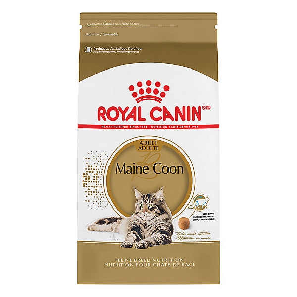 Royal Canin Maine Coon Adult (로얄캐닌 메인쿤 어덜트)