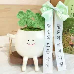 화환 개업선물 축하 병원 개업 화분 사무실 카페 승진 취임