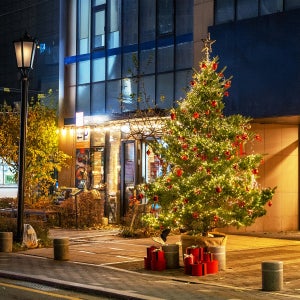 생화트리렌탈 5m 야외 플리마켓 프리미엄 tree 구상나무트리