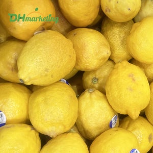 못난이 레몬 15kg 벌크