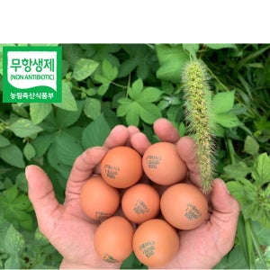 난각번호1번 계란 NonGMO 자연방사 무항생제 유정란 72시간 발효사료 한방영양제 60구