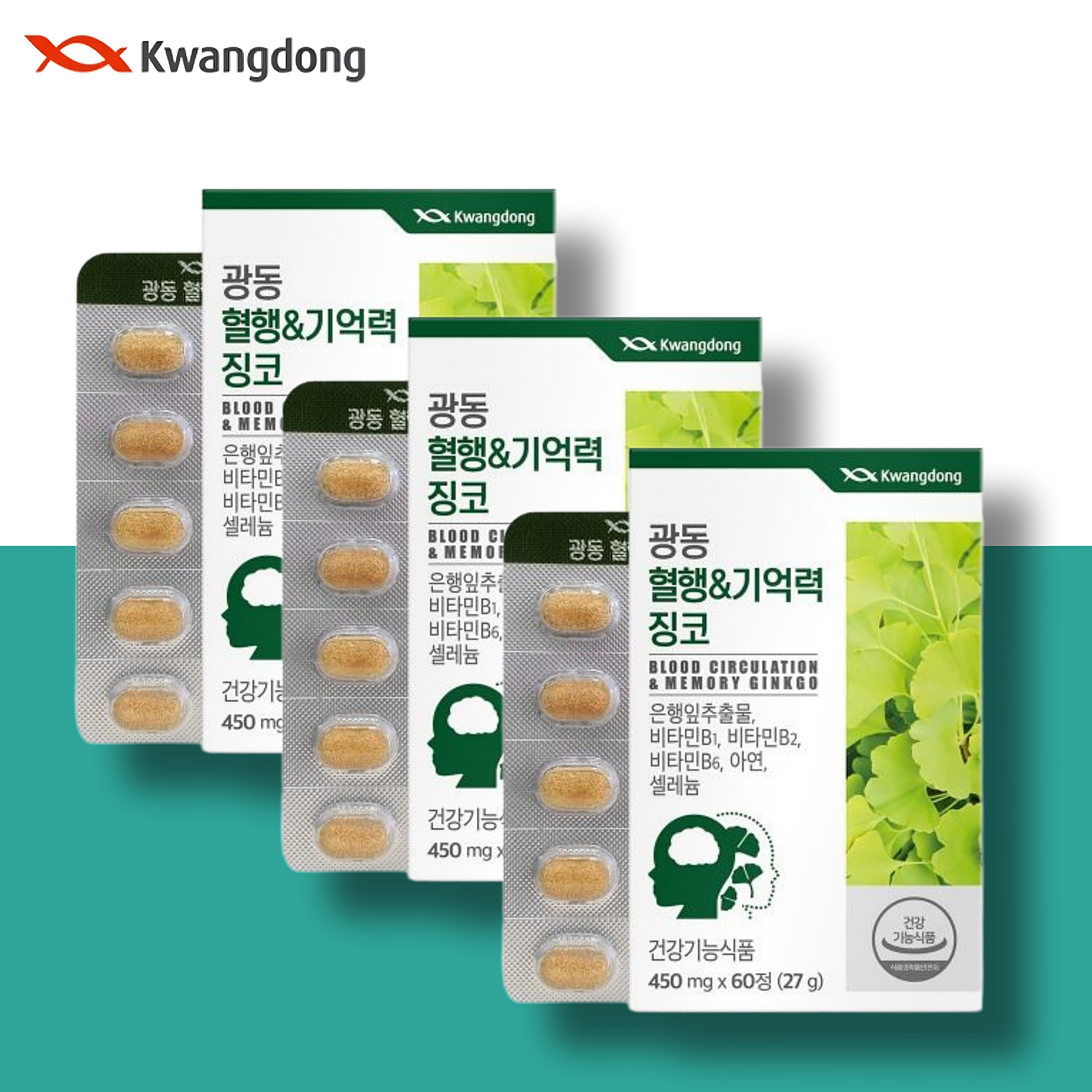 기억력 영양제 혈행 개선 인지력 감퇴 은행잎추출물 약6개월