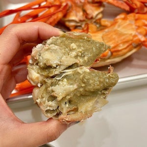 울진 후포리 제철 박달홍게 3K+1K(8-10마리)