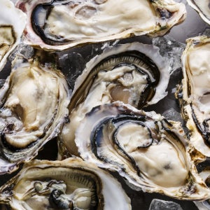 당일작업 산지직송 통영 여수 제철 석화 굴 5kg 10kg