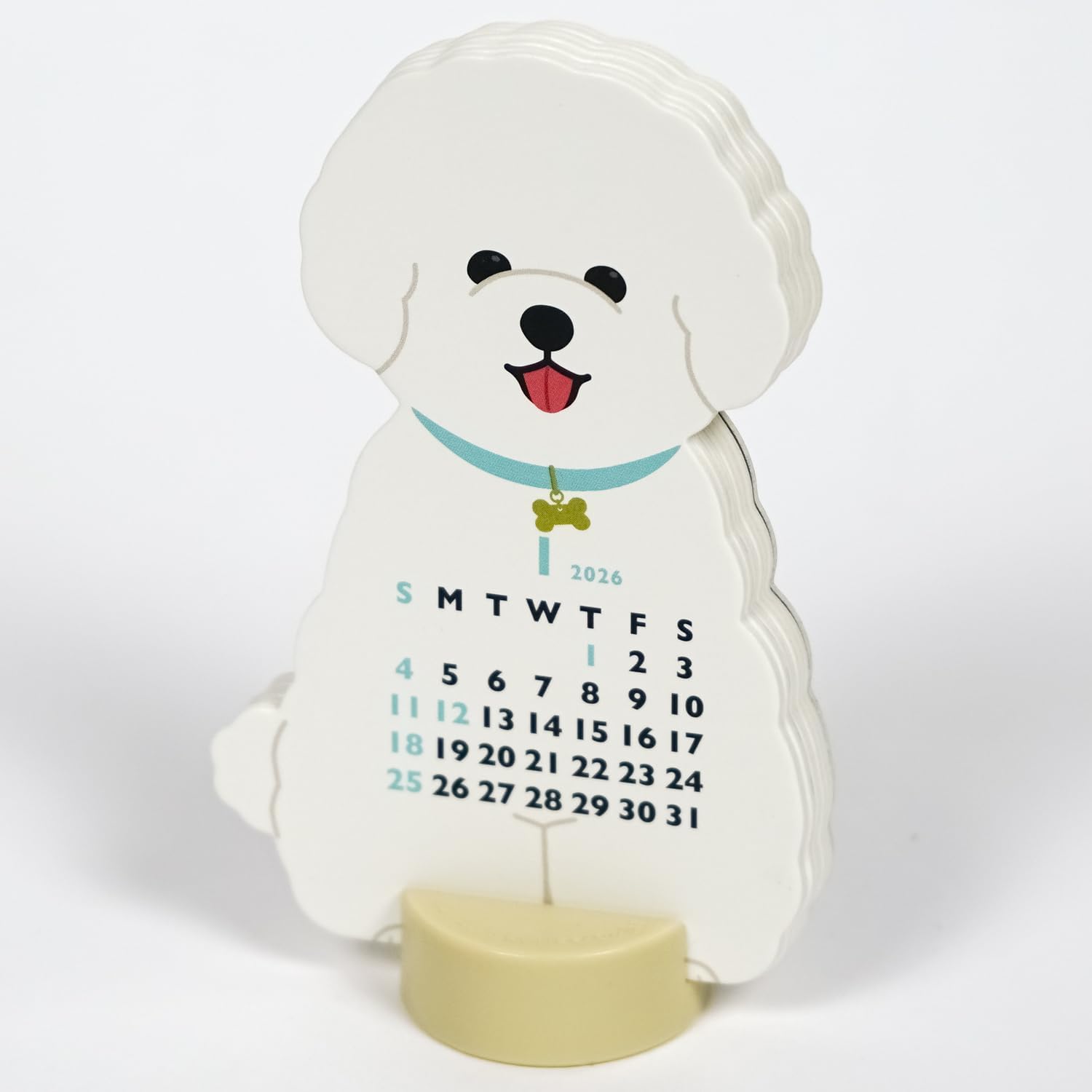 비숑 프리제 (Bichon Frise)