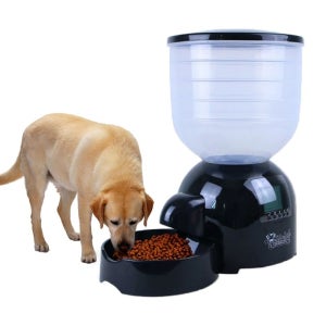 똑똑한 대형견 자동급식기 11L 자율배식 식기 애견용품11l 대용량 타이머 정량 급여 도구