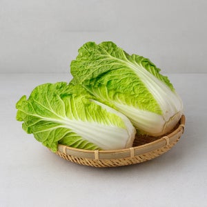 김장데이 완주로컬푸드 배추 1통 (2kg~3kg 내외)