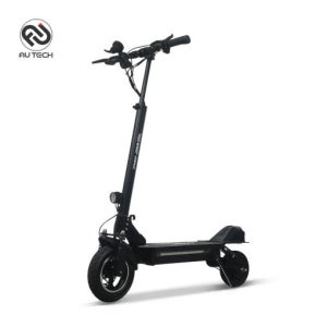 au테 레드윙 MAX 맥스 배달기사 출퇴근용 최대 800W 48V 전기 전동 킥보드