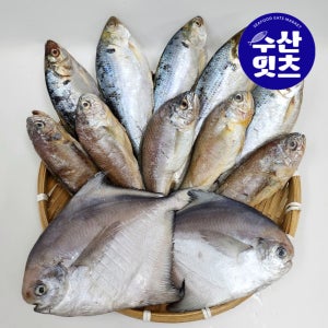 수산잇츠 국내산 생선3종 세트 (전어5미, 병어2미, 조기5미)