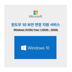 윈도우 10 보안 연장 지원 서비스 Windows 10 ESU Year 1 (2025 - 2026) [기업용/신규/1년]