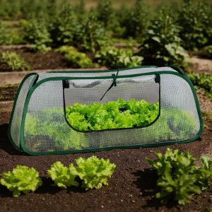 원터치 미니 비닐 하우스 베란다 온실 길고양이 텃밭 가정용 Jeepsaram