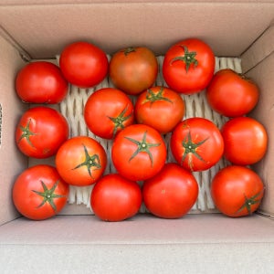 완숙토마토 도마토 토마도 완숙 찰 토마토 소과 10kg, 1개