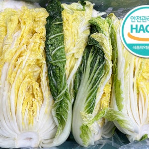 괴산 절임배추 10kg/20kg 김장 고랭지 절인 배추 HACCP