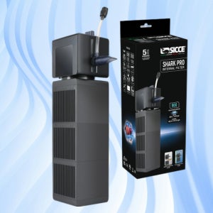 SICCE 시세 샤크 프로 900 여과기