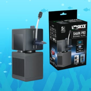 SICCE) 시세) 샤크 프로 500