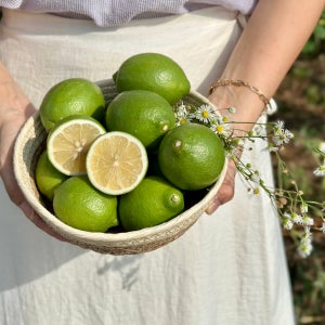 부부푸드 상큼한 제주 그린 레몬