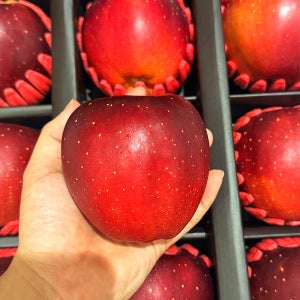 국내산 사과 엔부 엔비 피치애플 문루즈 문경 청송 가정용 선물용 농장직송