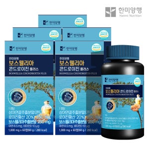 한미양행 보스웰리아 콘드로이친 플러스 1,000mg x 60정 60g, 5개