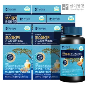 한미양행 보스웰리아 콘드로이친 플러스 1,000mg x 60정 60g, 6개