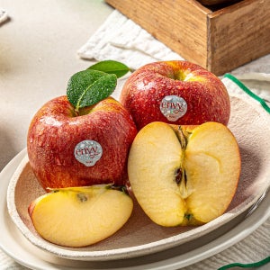 [48개] 월드마켓 아삭하고 달콤한 엔비사과 소과, 10kg, 1개