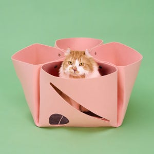 새우만두 숨숨집 고양이 터널