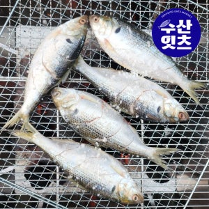 수산잇츠 냉동 전어 구이용 5미 (약400g)