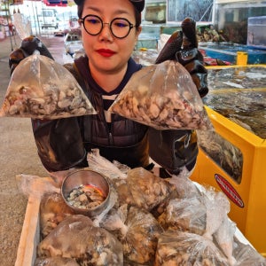 [당일채취/산지직송] 안면도 자연산 제철 생굴 500g 최상급 알굴