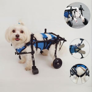 [슬개골지킴이]강아지 보행기 휠체어 보조기 슬개골탈구 재활훈련 4륜 파스텔블루, XS