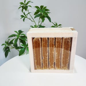 허니하우스 벌집꿀(됫박)