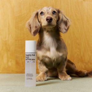 너티포비 듀이 리프레시 강아지 고양이 보습 미스트 120ml