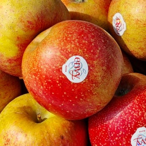 엔비사과 2kg 해나미 무배 프리미엄 단일품종 충남예산 고당도 산지직송