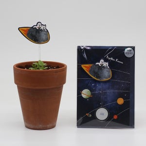 우주여행 씨앗카드 과꽃 식물 키우기 키트 씨앗키트 선물 자연학습 틔움세상