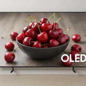 삼성전자 25년형 올레드 OLED 4K 스탠드형 KQ55SF8EAEXKR