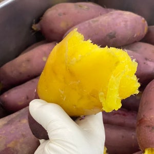 전남 무안 달수 꿀 밤 고구마 왕(300g 이상), 10kg, 1개