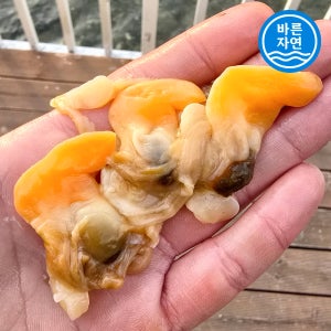 손질 급냉 노랑새조개 200g