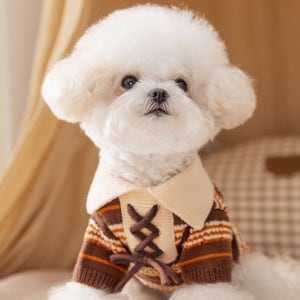 펫올웨이즈 강아지 겨울옷 스트라이프 니트 히피펫 2color