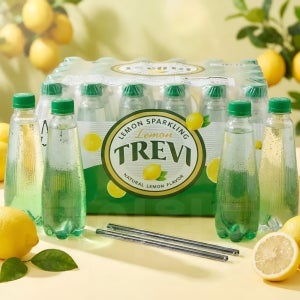 트레비 레몬 탄산수 대용량 세트 300ml X 30입 세트 제로 탄산