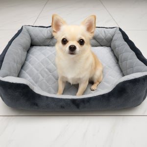 지웰리빙 펫 전용 USB 발열 온열매트 애견 애묘 강아지 고양이 반려동물 전기장판 온열방석