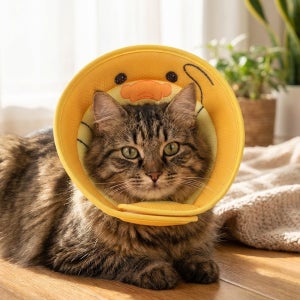 초경량 통기성 3D 넥카라 강아지 고양이 수술상처 목 보호 경량 목보호대 M