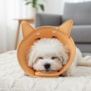 드림베이스 강아지 고양이 넥카라 초경량 3D메쉬 수술 상처보호 발사탕 M