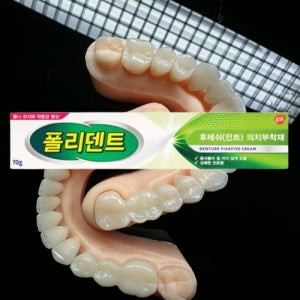 의치 부착제 틀니 고정 접착제 내추럴 후레쉬 민트 이빨 임시 치아 본드 70g