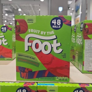 코스트코 제네럴 밀스 후룻 바이 더 풋 1.02kg (21g x 48개입) 젤리