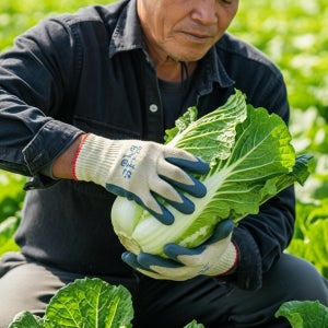 옥돌김치 해남 절임배추 20kg 10kg 7kg 김장 황금 배추 사전 예약