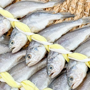 깔끔 간편 제주 손질 참굴비 (손질참조기) 500g