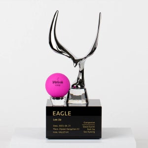 이글패 홀인원패 골프싱글패 언더파트로피 싸이클버디 기념패 주문제작 A005크롬 Eagle