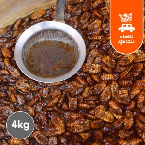 냉동 번데기 4kg 번데기탕 대용량 술안주 가정용 업소용