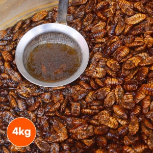 냉동 번데기 4kg 번데기탕 대용량 술안주 가정용 업소용